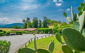 Locazione Turistica I Pini